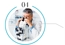 浙江旭日纖維有限公司主要生產(chǎn)和銷(xiāo)售浙江旭日纖維有限公司，丙綸超細(xì)旦絲，丙綸FDY絲，丙綸彈力絲，玉米纖維，中分子PE絲，冰絲，玉米纖維FDY